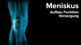 Der Meniskus - Aufbau, Funktion und Versorgungsmöglichkeiten