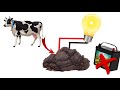 Turnning Cows Dung into a Free energy⚡ 220v Rechargeable 🔋 Lifetime Electricity||Abhishekproject's.