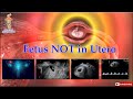 Fetus NOT in Utero