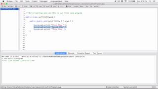 5. The System.out.print statement - Learn Java