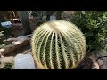 VIRTUAL TOUR OF UNITED STATES BOTANIC GARDEN WASHINGTON DC