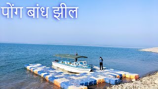 PONG DAM LAKE I WILD LIFE SANCTUARY I NAGROTA SURIYAN I KANGRA I HIMACHAL PRADESH I INDIA