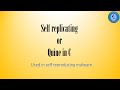 Print source code of C code without any inputs | Quine