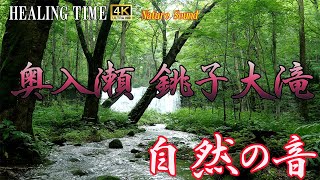 【4K自然音】奥深い自然に癒される　作業用　睡眠時に　奥入瀬　銚子大滝　8時間