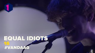 Equal idiots: 16