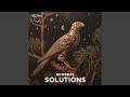 Solutions