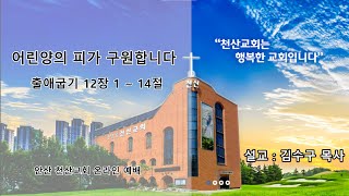 [안산천산교회] 2024/11/24 온라인 2부 예배