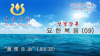 요한복음 (09)