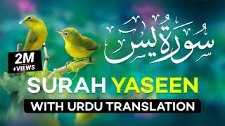 Surah Yaseen | سورة يس كاملة | Full with Arabic Text & Translations