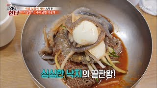 냉면에 산낙지 한 마리가? 낙지 냉면의 맛은? [뉴 코리아 헌터] 53회 20170605