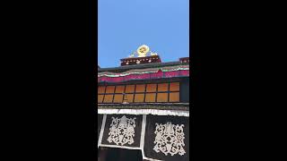 大昭寺朝拜的美女信徒！(Lhasa,Tibet)请老铁们，战友们订阅本频道，谢谢支持！