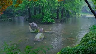 Is Rain the SECRET to a Quick and Refreshing Nap?