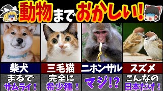 約3,000万の人ドハマり！訪日外国人が驚いた\