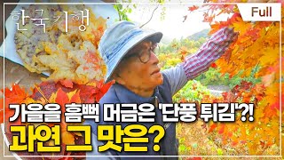 [Full] 한국기행 - 불타오르네 제2부 단양의 가을, 그 빨간 맛