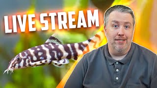 Lets be friends and talk Aquariums Live. Episode 280