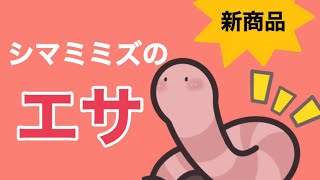 シマミミズのエサを販売しよう！【ミミズコンポスト・捨てない暮らし】