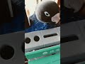 ボタンインコ缶3連続分別 shortsfeed