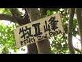 黒髪山（くろかみやま）周回縦走登山　撮影2018.6.24