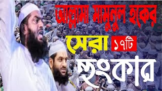 আল্লামা মামুনুল হকে ১৭টি সেরা হুংকার,allama mamunul hoker 17 ti sera hungkar