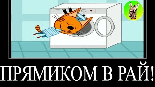 МУД ТРИ КОТА ДЕМОТИВАТОР 109 | ПРЯМИКОМ В РАЙ!