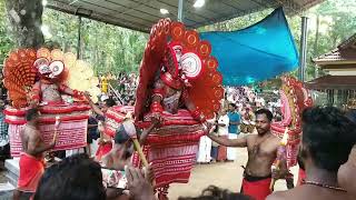 Theyyam | അഞ്ച്  കുട്ടിച്ചാത്തൻ മാർ  ഒരുമിച്ചു | പാലയാട് തെയ്യുള്ളതിൽ കുട്ടിച്ചാത്തൻ 1 #theyyam #1m