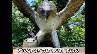 Kings of the Skies Show (Full Show) Jan 2021 - Jurong Bird Park Singapore