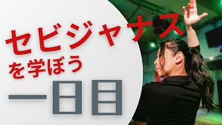 フラメンコクラス　セビジャーナスを学ぼう１日目入門　（基礎）