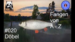 Russian Fishing 4 / Fangen von A bis Z 020 Döbel