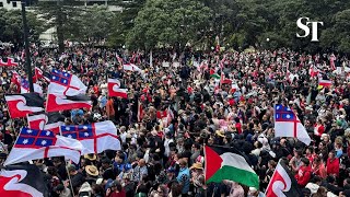 Indigenous protesters march to parliament in New Zealand