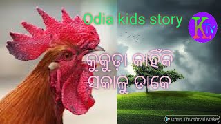 Odia Children Story | କୁକୁଡ଼ା କାହିଁକି ସକାଳୁ ଡାକେ | Kukuda Kahinki Sakalu Dake | YouTube kidz tv 480p