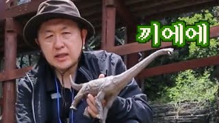 아기공룡은 정말 우리나라에 있었다? [핫클립] / YTN 사이언스