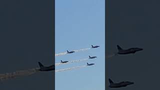 浜松　ブルーインパルス　飛行機　ボントンロール　浜松基地　航空祭　エアフェスタ　T4　練習機　ブルー　日本　静岡