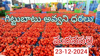 Madanapalle Tomato market price today 23-Dec-2024 Madanapalle Tomato mundy rates daily #tomato