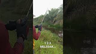 1 2 3 MELEDAK..!!! //casting ikan gabus