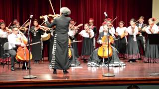 El Huapango by Moncayo - Latino Arts Mariachi Juvenil - Ravinia