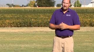 Buffalograss: Controlling Weeds