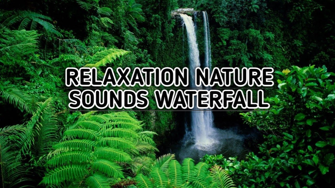 Relaksasi Suara Alam Air Terjun Dan Burung Penghilang Stress Susah