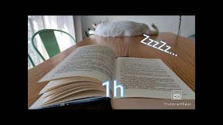 1 HORA PARA DORMIR PROFUNDAMENTE 😴  | De oreja a oreja | Lectura susurrada