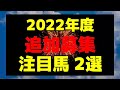 【キャロットクラブ】2022年度追加募集馬評価【ノイエルの2021 ミスベジルの2021】