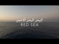 Red Sea 2022 - Brothers, Daedalus, Elphinstone (BDE) Route