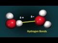 a tasting of culinary science—water u0026 hydrogen bonds