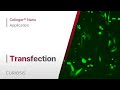 Celloger® Nano Application I Transfection