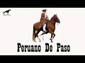 El Caballo Mas Cómodo Del Mundo🐴-Del Cerro Soy