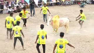 முருகன்பட்டி பாண்டியம்மாள் சண்முகம் காளை Vs அரசணூர் நொண்டிச்சாமி குழு | PK Media