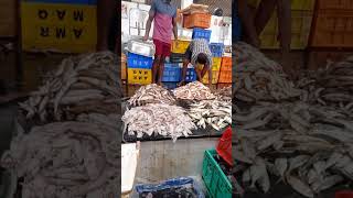 சென்னை வானகரம் மீன் மார்கெட் | chennai vanagaram fish market PART -2 #fishmarket #vanagaram #chennai