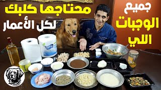 اكل كلاب و جراوي صحي  لكل المراحل العمرية مع سامر غازي