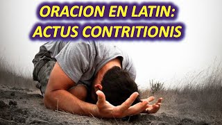 Oraciones en Latín: Acto de Contrición/Actus Contritionis Latín/Español