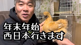 [Okayama, Fukuoka, Kumamoto] Information on New Year's chicken walking event