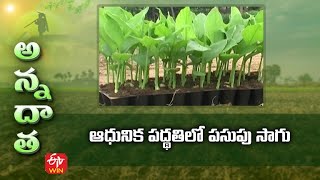 ఆధునిక పద్థతిలో పసుపు సాగు | Latest methods in Turmeric  cultivation | ETV