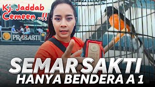 SEMAR SAKTI GAGAL SAKTI ‼️ UMI TANTANG KJ JADDAB ‼️ Prasasti Bharatayudha Cup